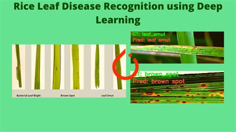 Using Deep Learning for Blockchain Fraud Detection
